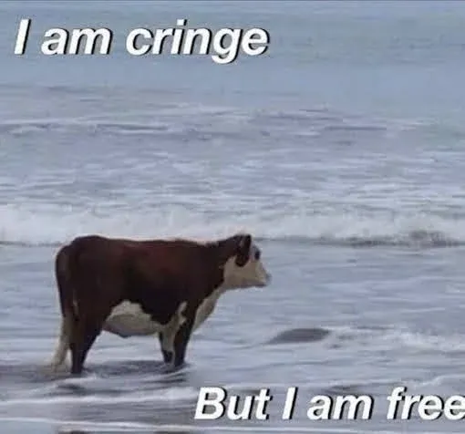 Cow standing in water, saying I am cringe, but I am free